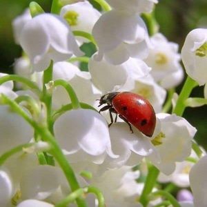 Meet your Posher, Natalya